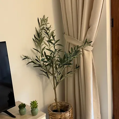 Boho Cascadas Family